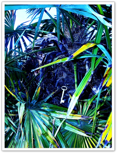 Allaa Tschann, Mystre paradisiaque