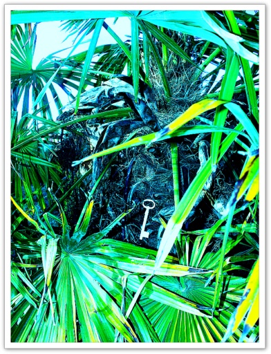 Allaa Tschann, Mystre paradisiaque