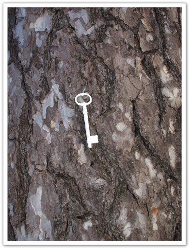 Allaa Tschann, Tryptique Super Nature