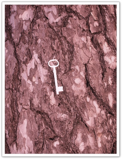 Allaa Tschann, Tryptique Super Nature